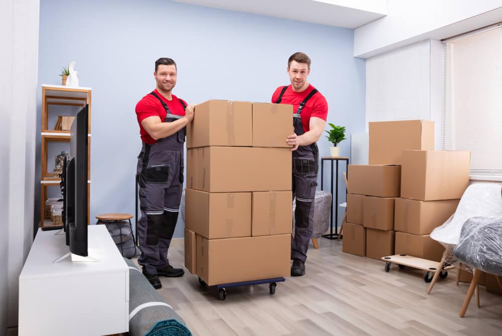 denver co movers