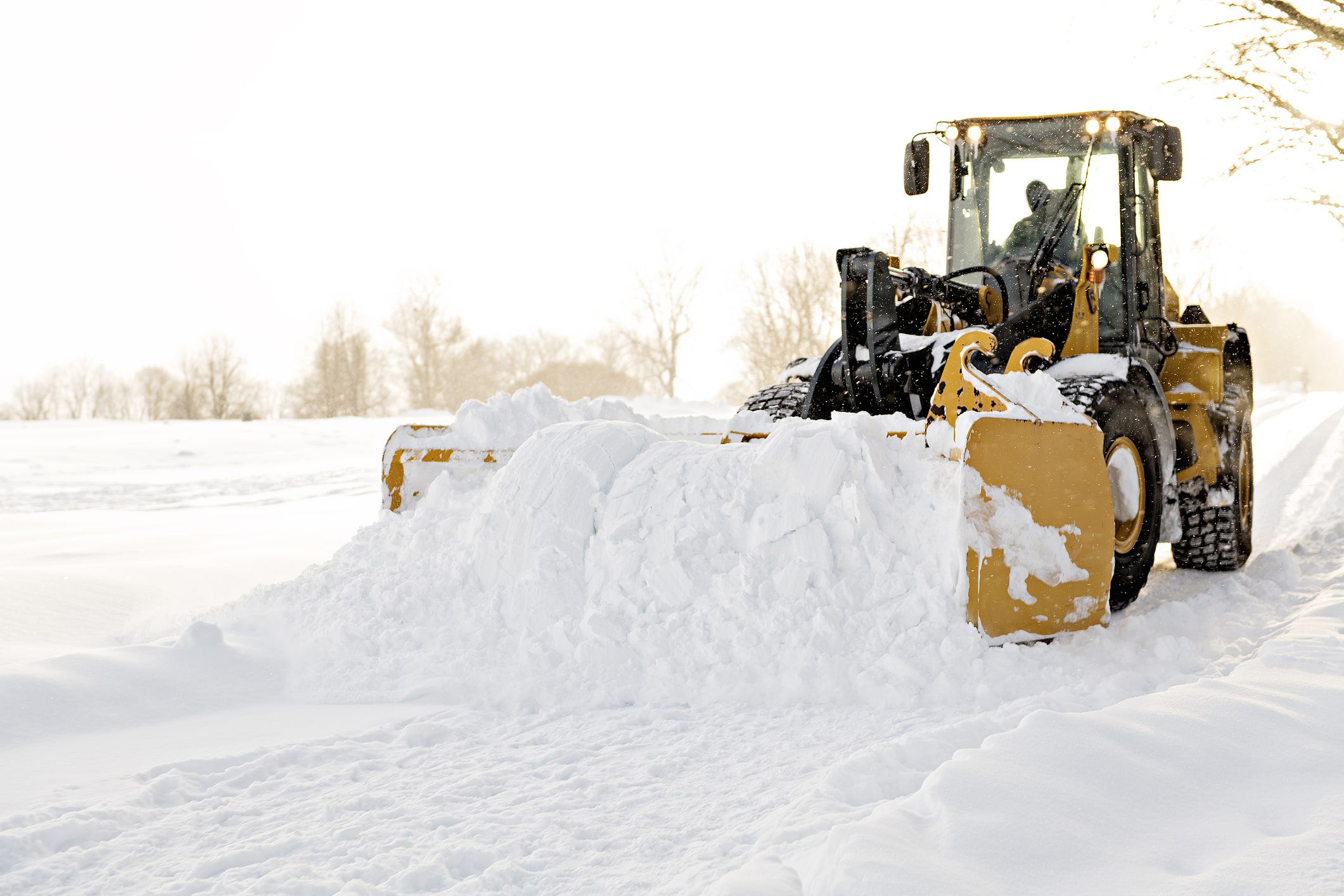 Professional snow removal services